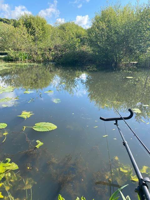 Marsh Water Ponds Fishery Villa Kidwelly Exterior photo
